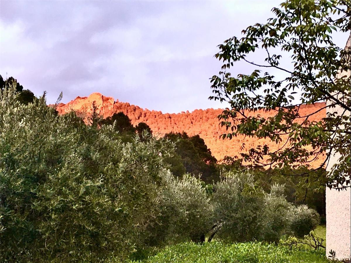 Casa Rural Cortijo La Ajedrea Siles Eksteriør bilde