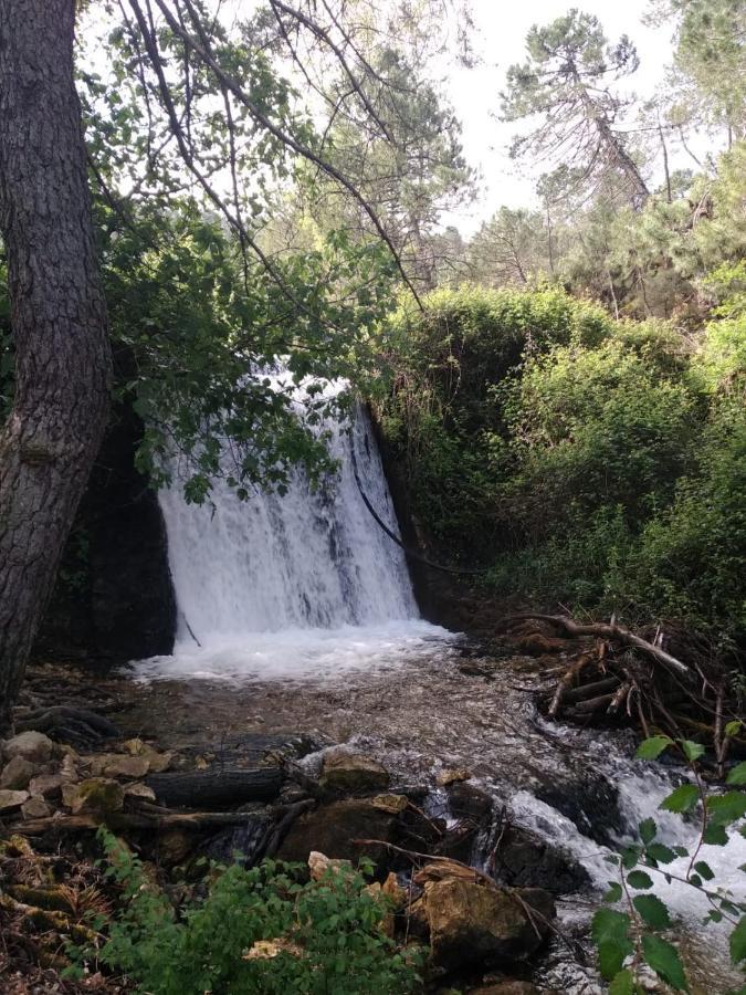 Casa Rural Cortijo La Ajedrea Siles Eksteriør bilde