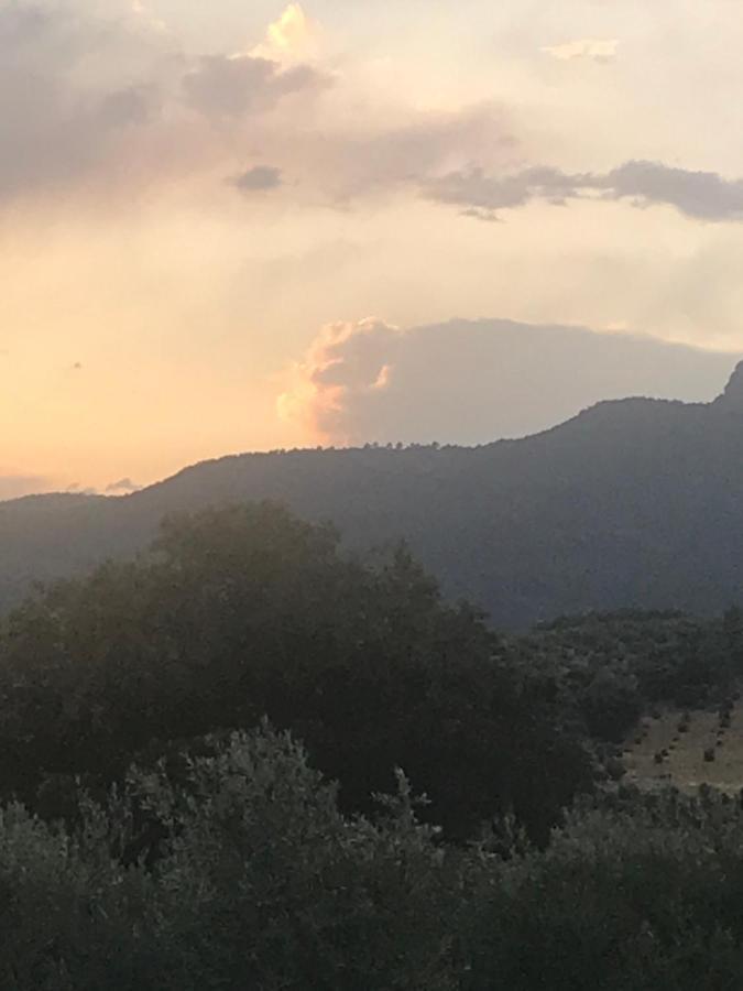 Casa Rural Cortijo La Ajedrea Siles Eksteriør bilde